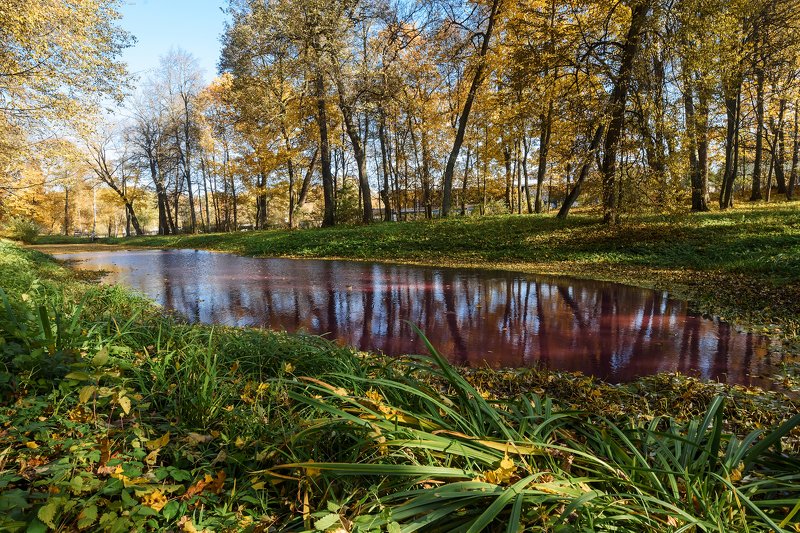 Красный пруд фото превью