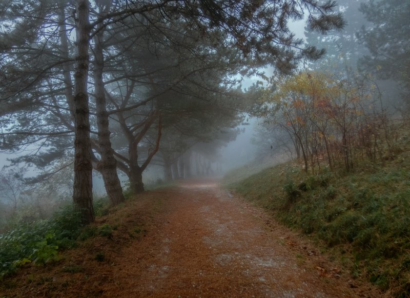 *** фото превью