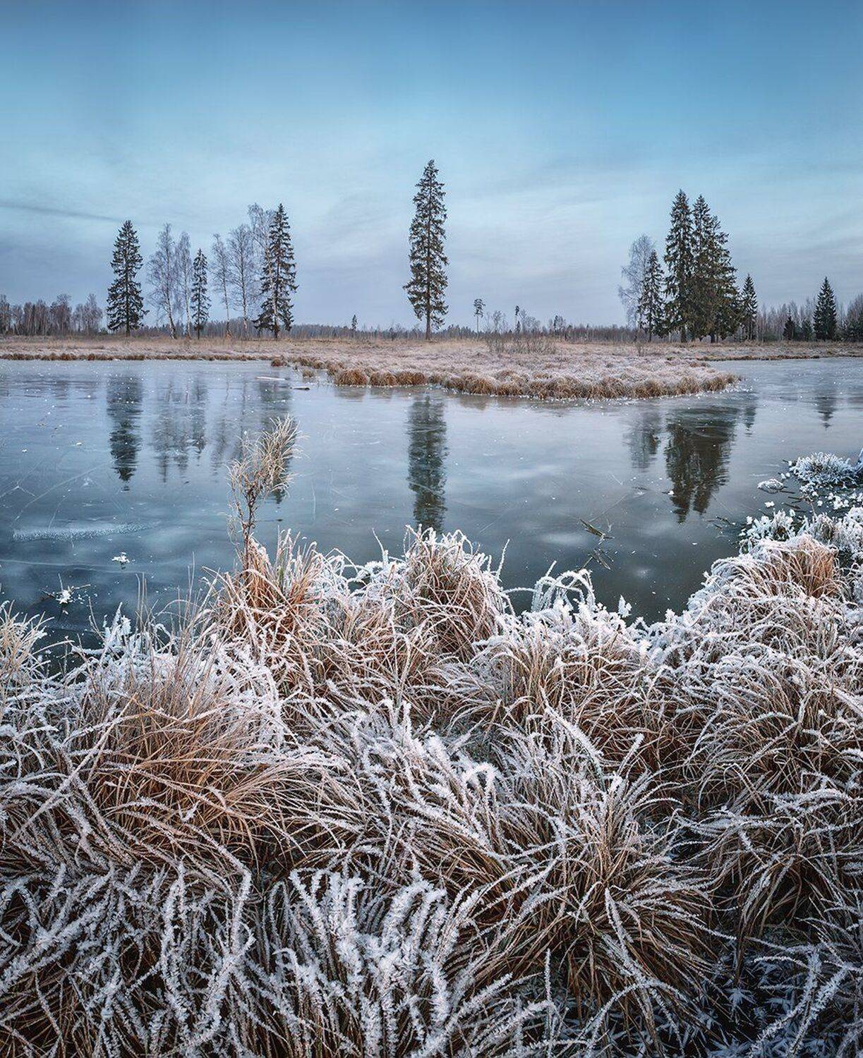 , Николай Андреев