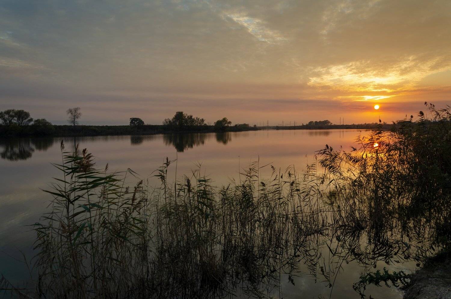 , Алексей Рыльский