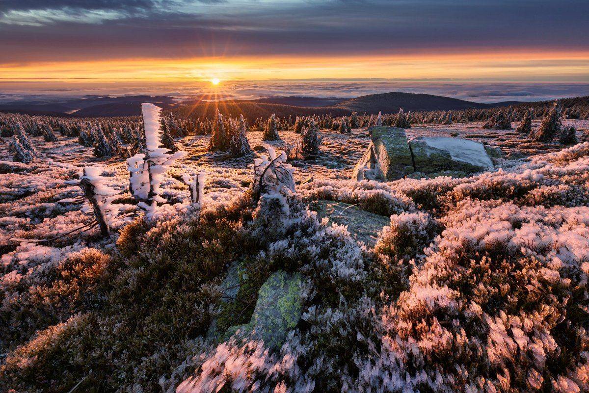 landscape, tree, sunset, panorama, rocks, Petr Fiala