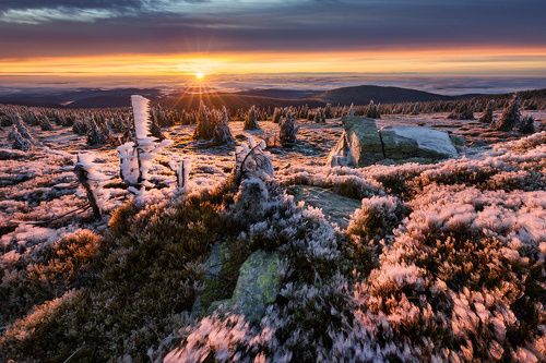 First Sunrays in Mountain Bridličná