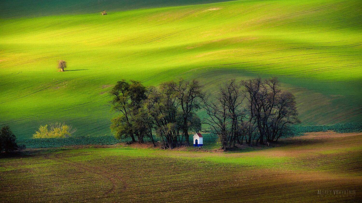 чехия, моравия, поля, czech, moravia, fields, sun, green, Алексей Вымятнин