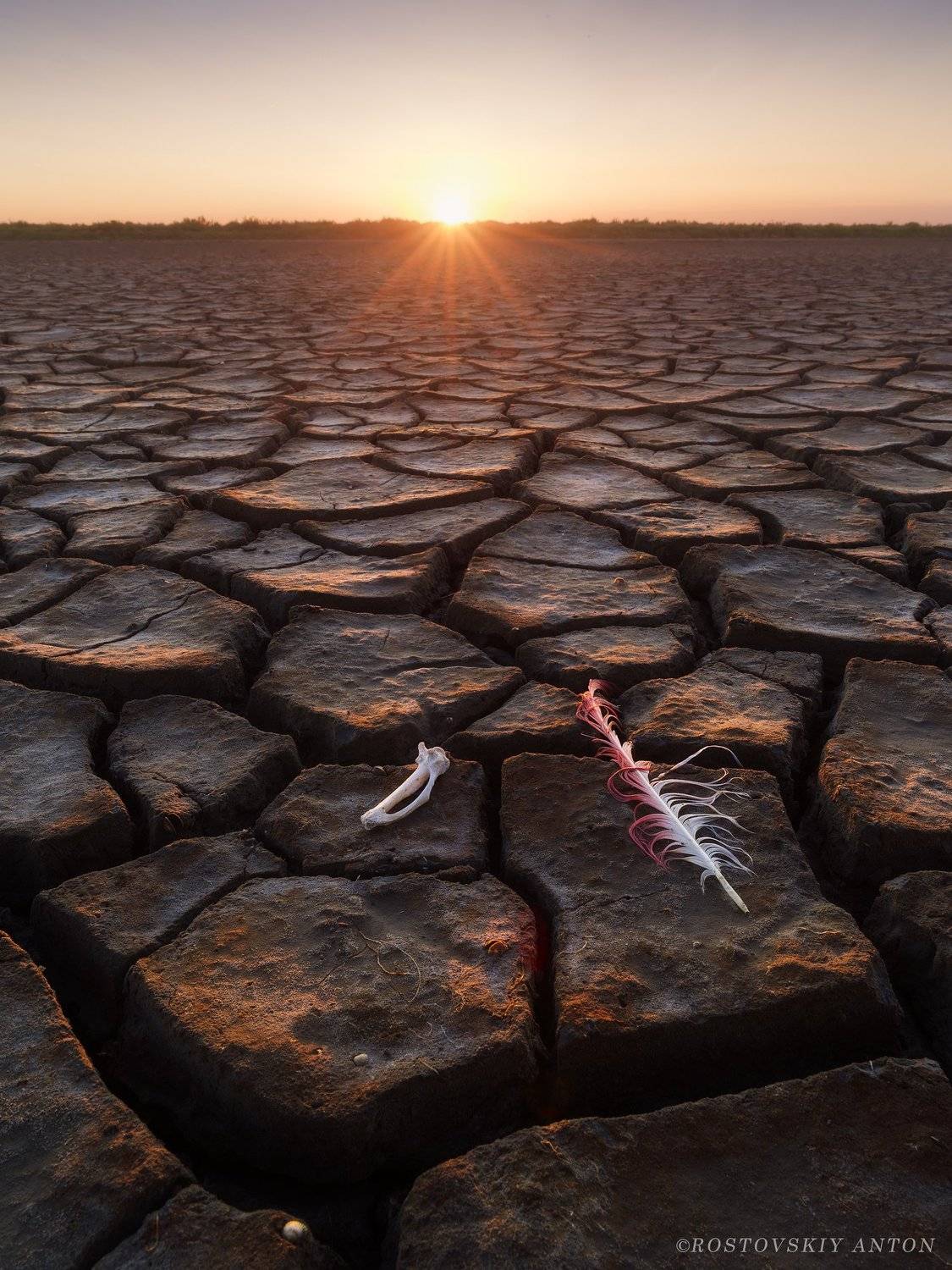 Камарг, Франция, Camargue, , Антон Ростовский