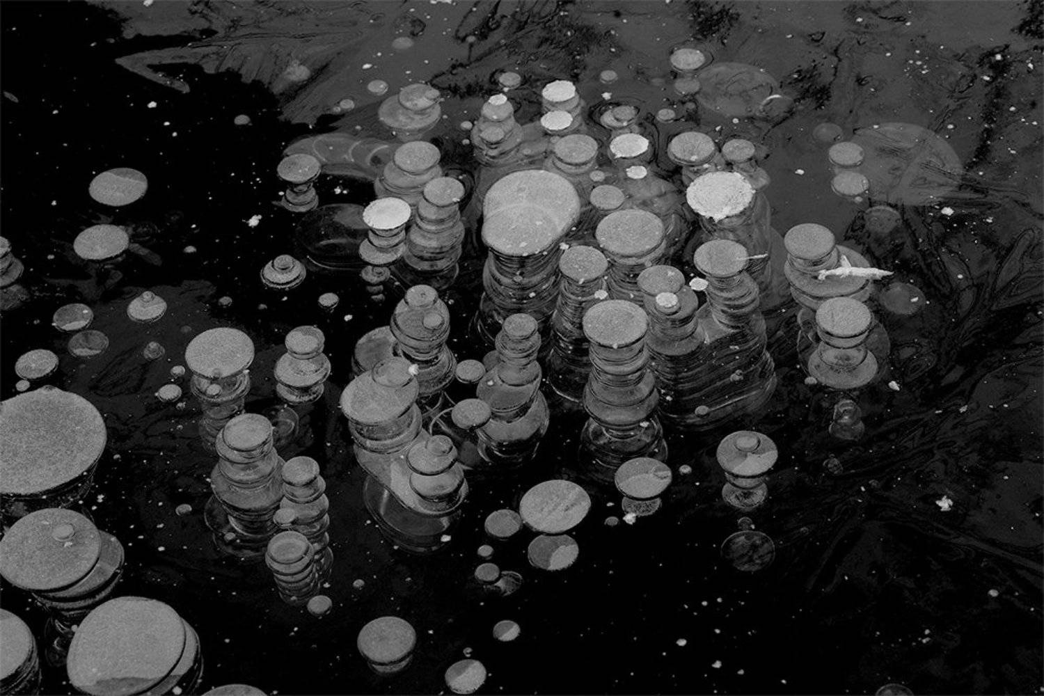 , Иваненко Светлана