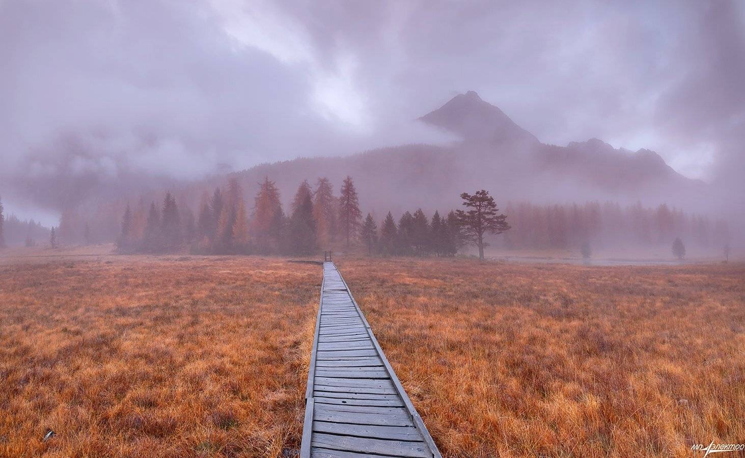 swiss, Матвеев Николай