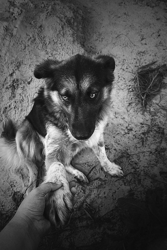 Друг фото превью