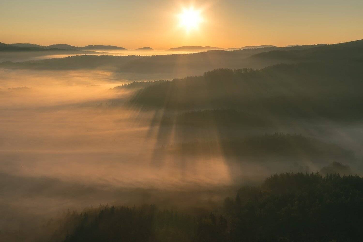 landscape,canon,mist,light,autumn, Iza i Darek Mitręga