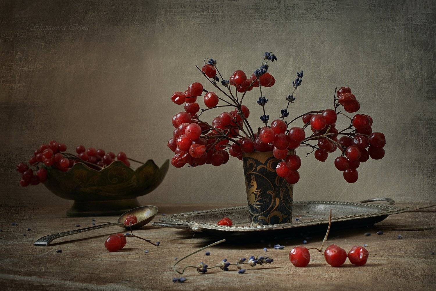 , Шипунова Ирина