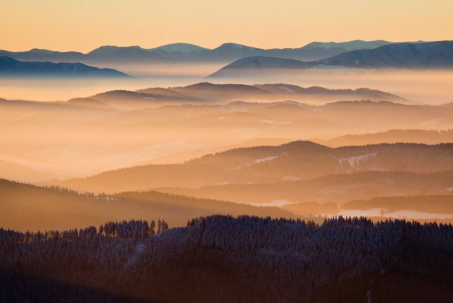 , Robert Adamec