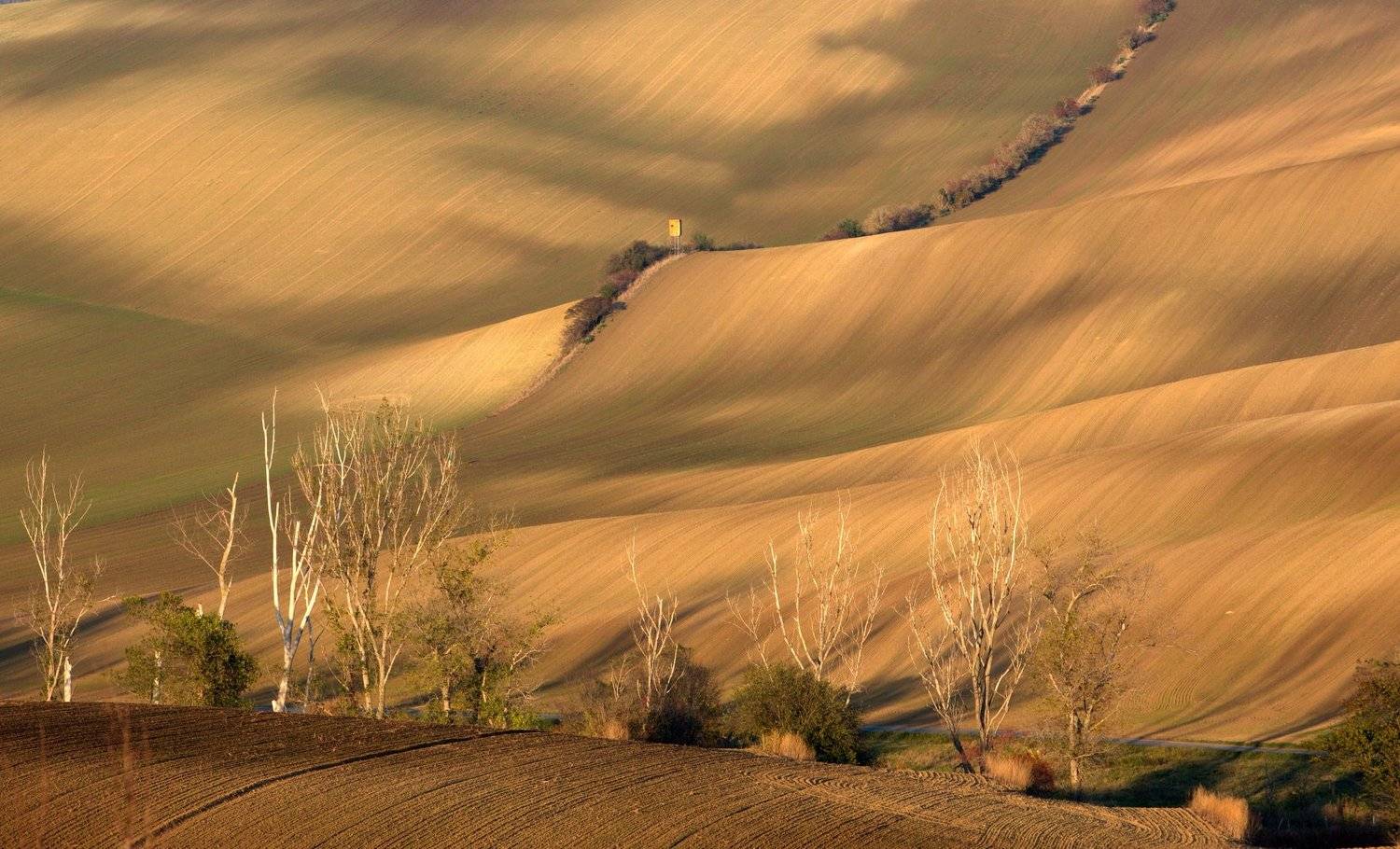 моравия чехия, Aricha