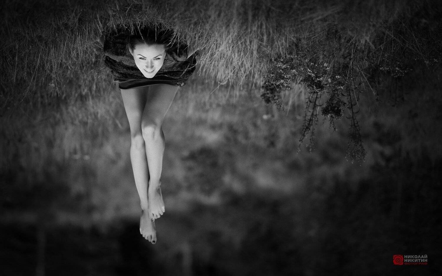 , Никитин Николай