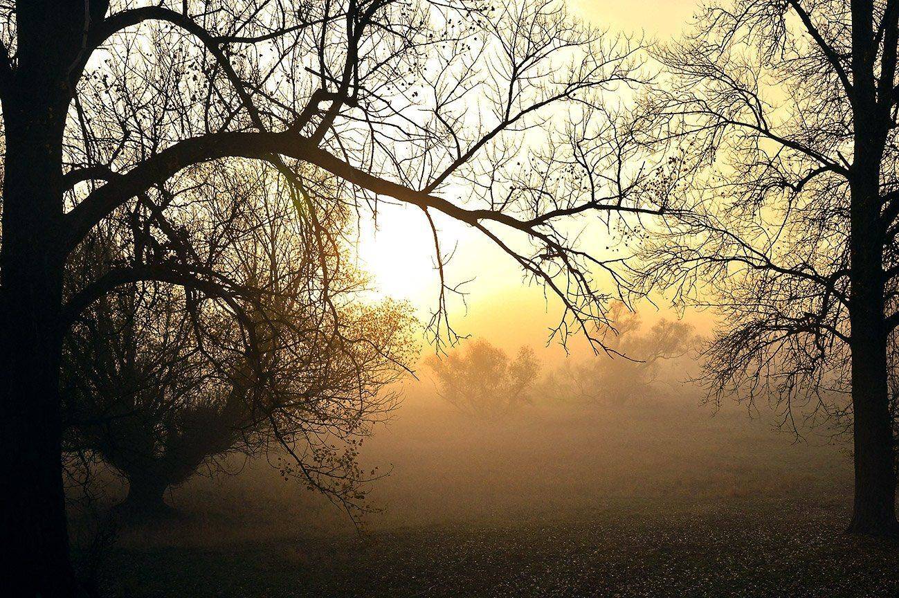 , Качурин Алексей