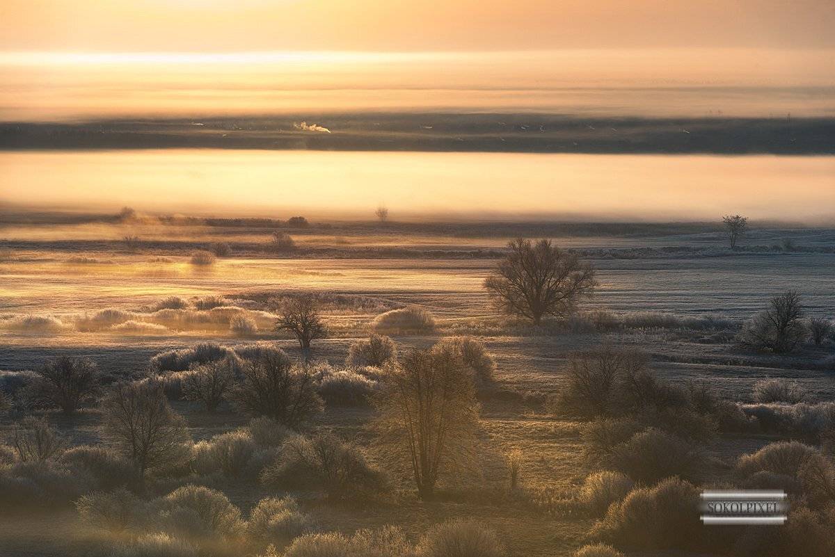 , Андрей Cоколов