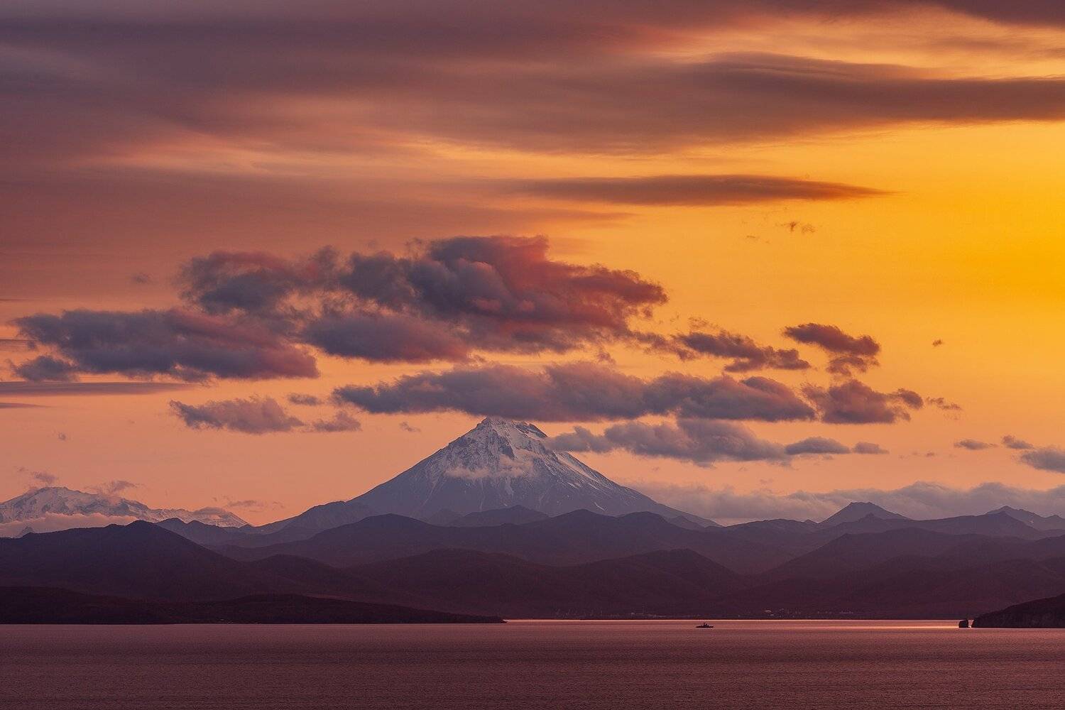 , Александр Максин