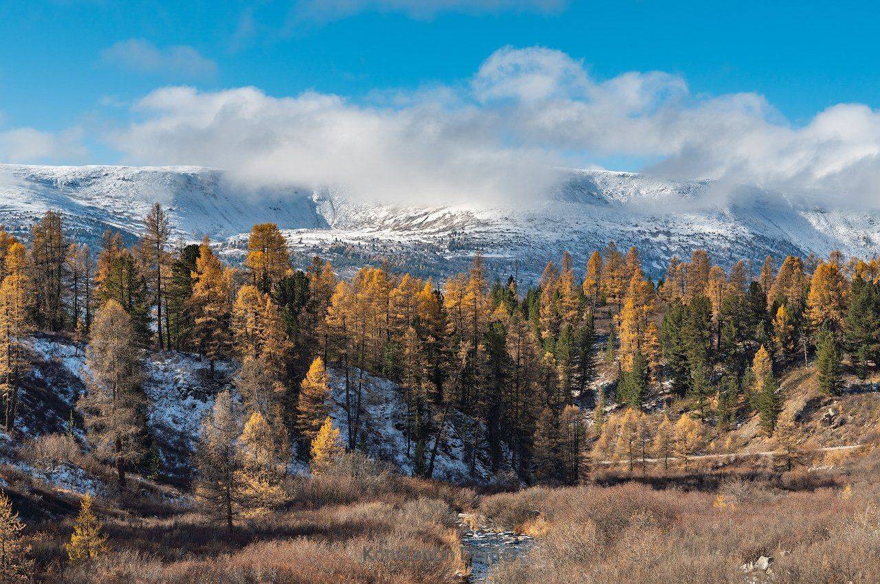 , Константин Дэм