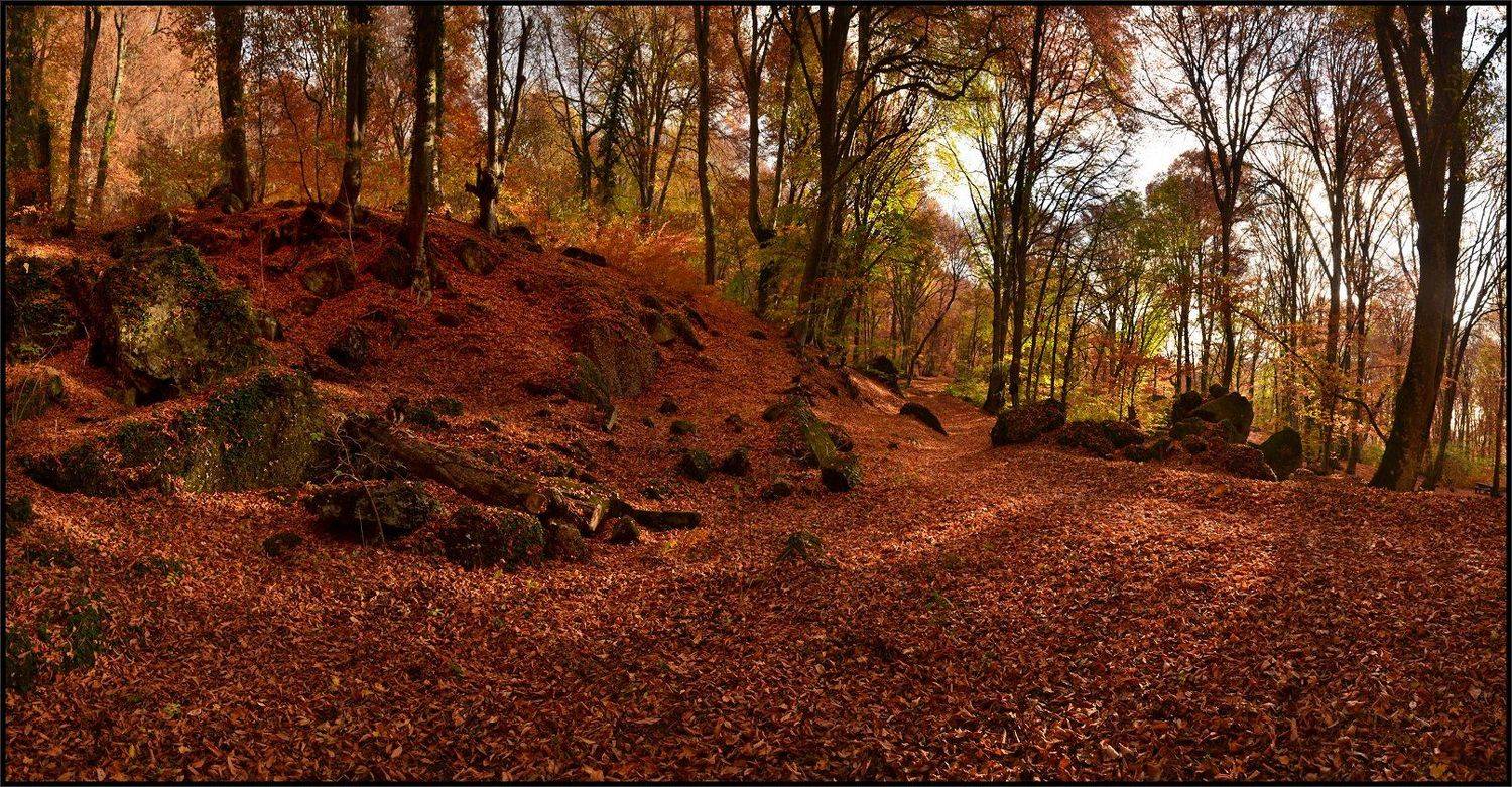 , Владимир Метцгер