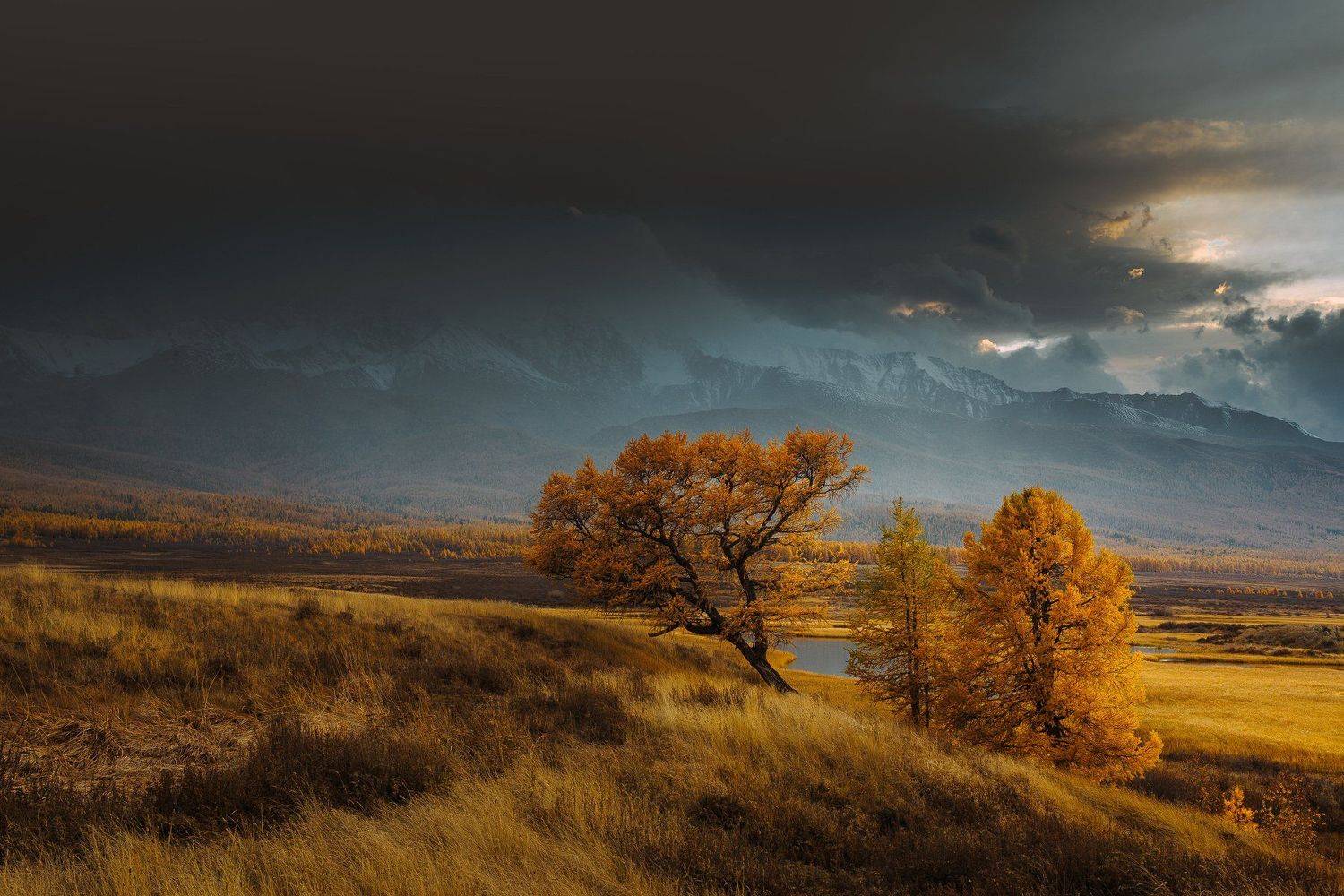 алтай, осень, золотая осень, горы, пейзаж, вечер, Алексей Новиков