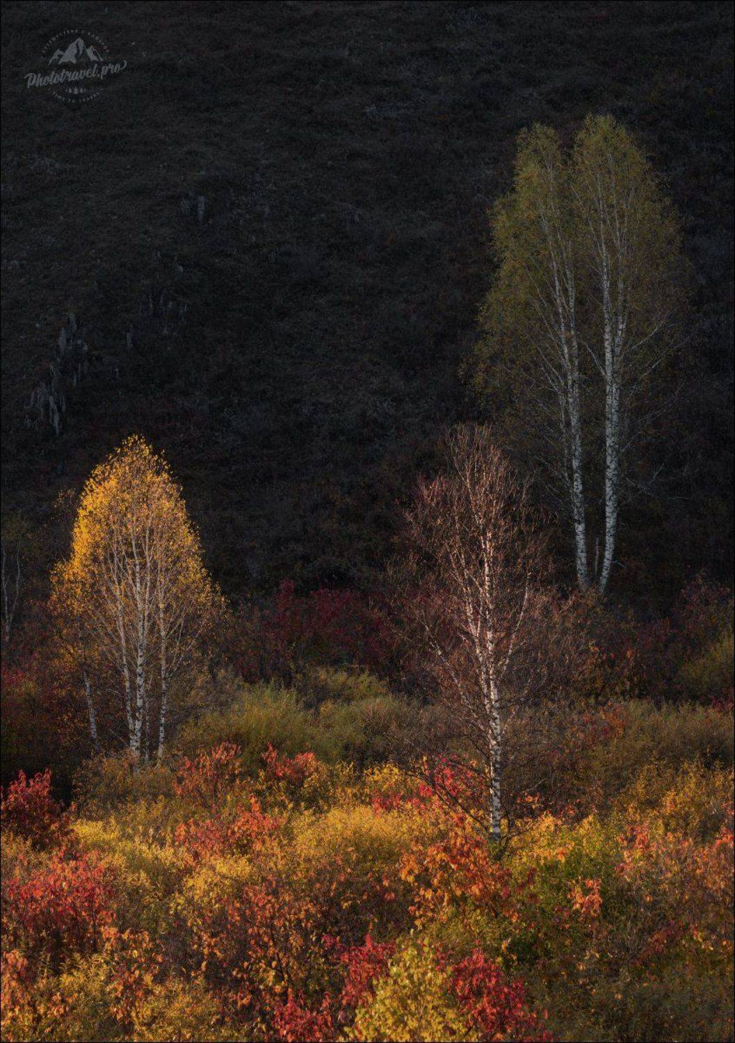 алтай, осень, алтайский край, золотая осень, фототур на алтай, Влад Соколовский