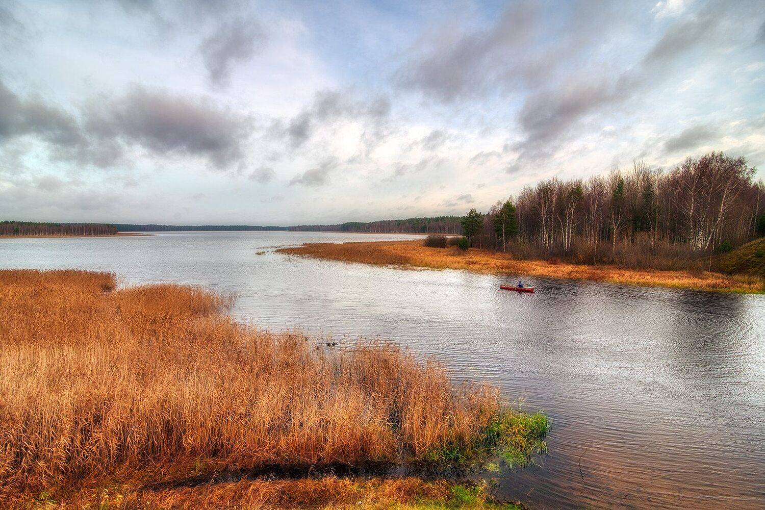 , Федотов Антон