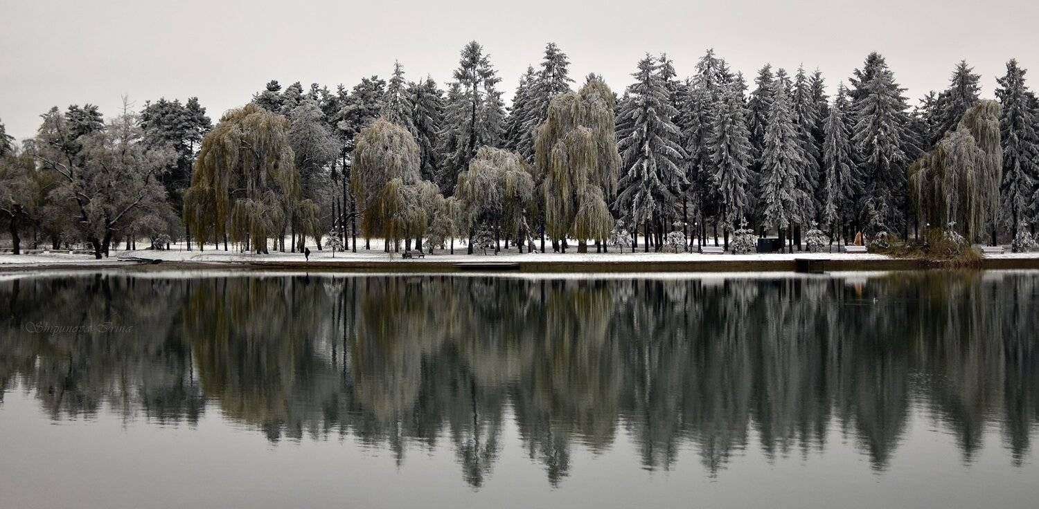 , Шипунова Ирина