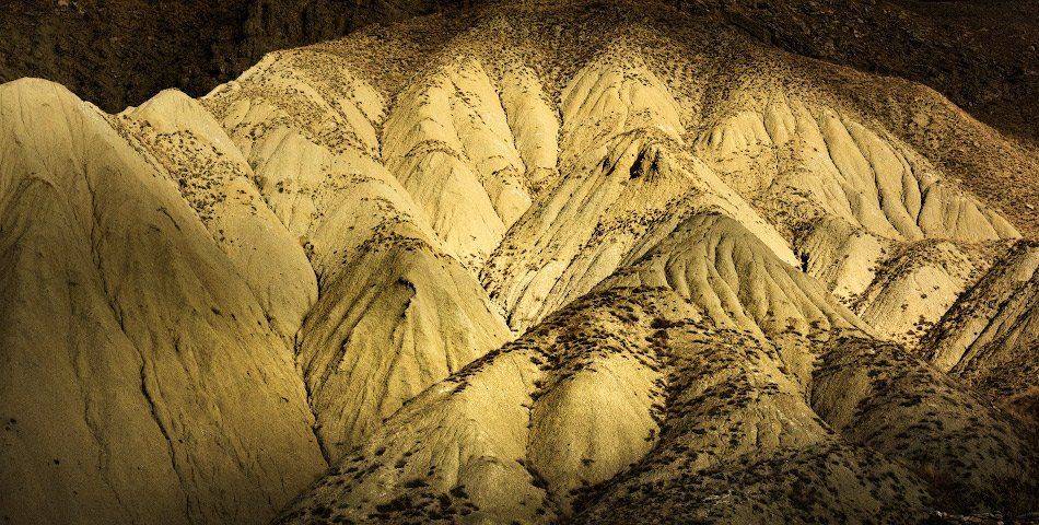 , Андрей Гусаченко