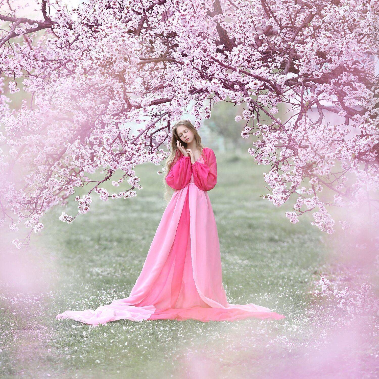 цветущие сады, цветущий сад, сакура, цветение, весна, Ирина Голубятникова