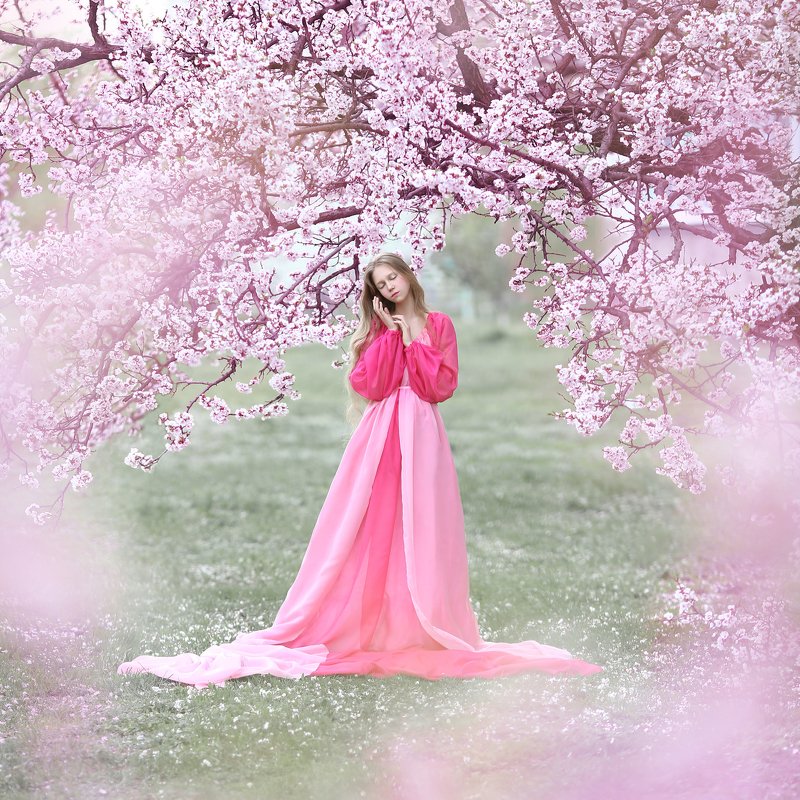 цветущие сады, цветущий сад, сакура, цветение, весна  фото превью