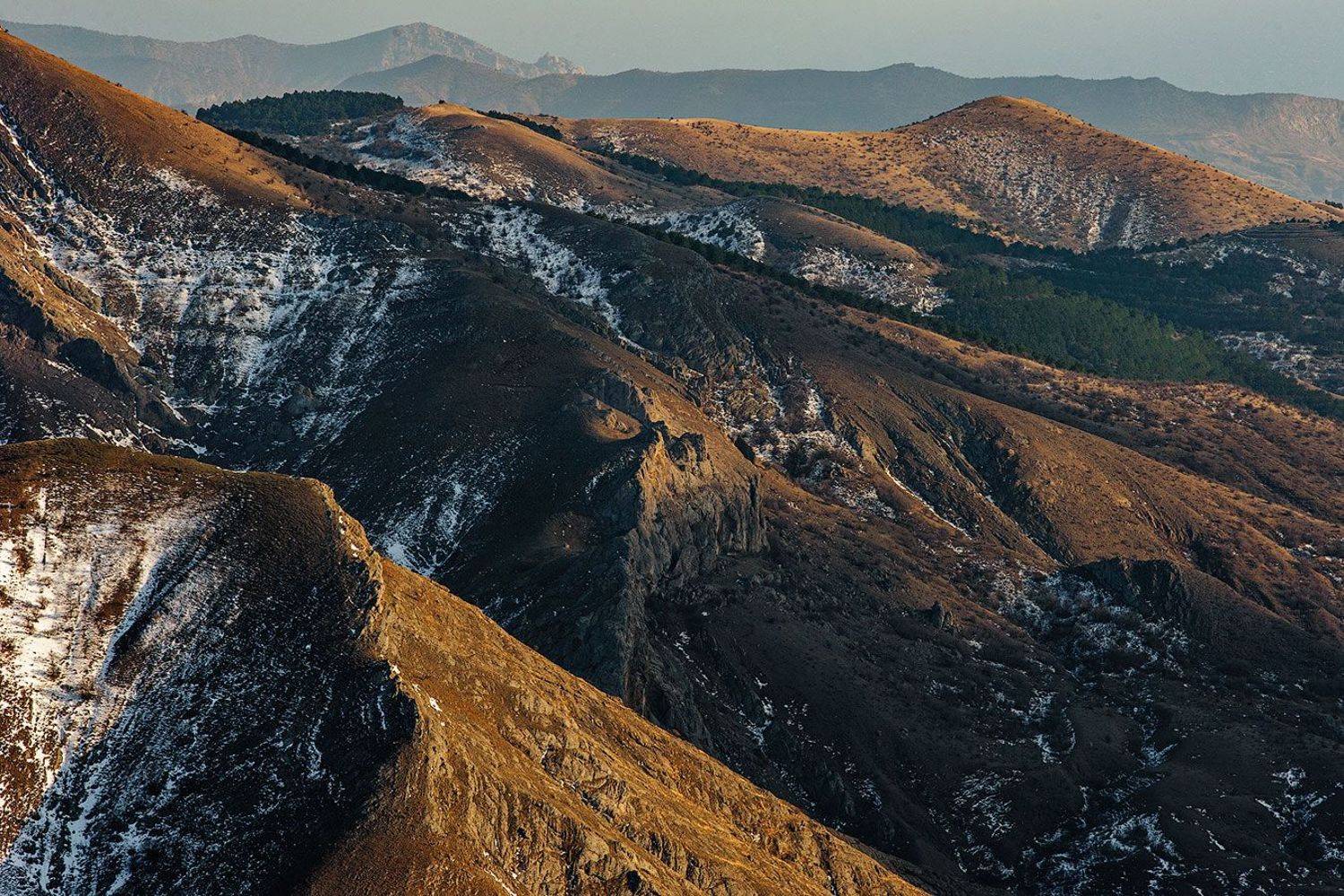 , Олег Логунов