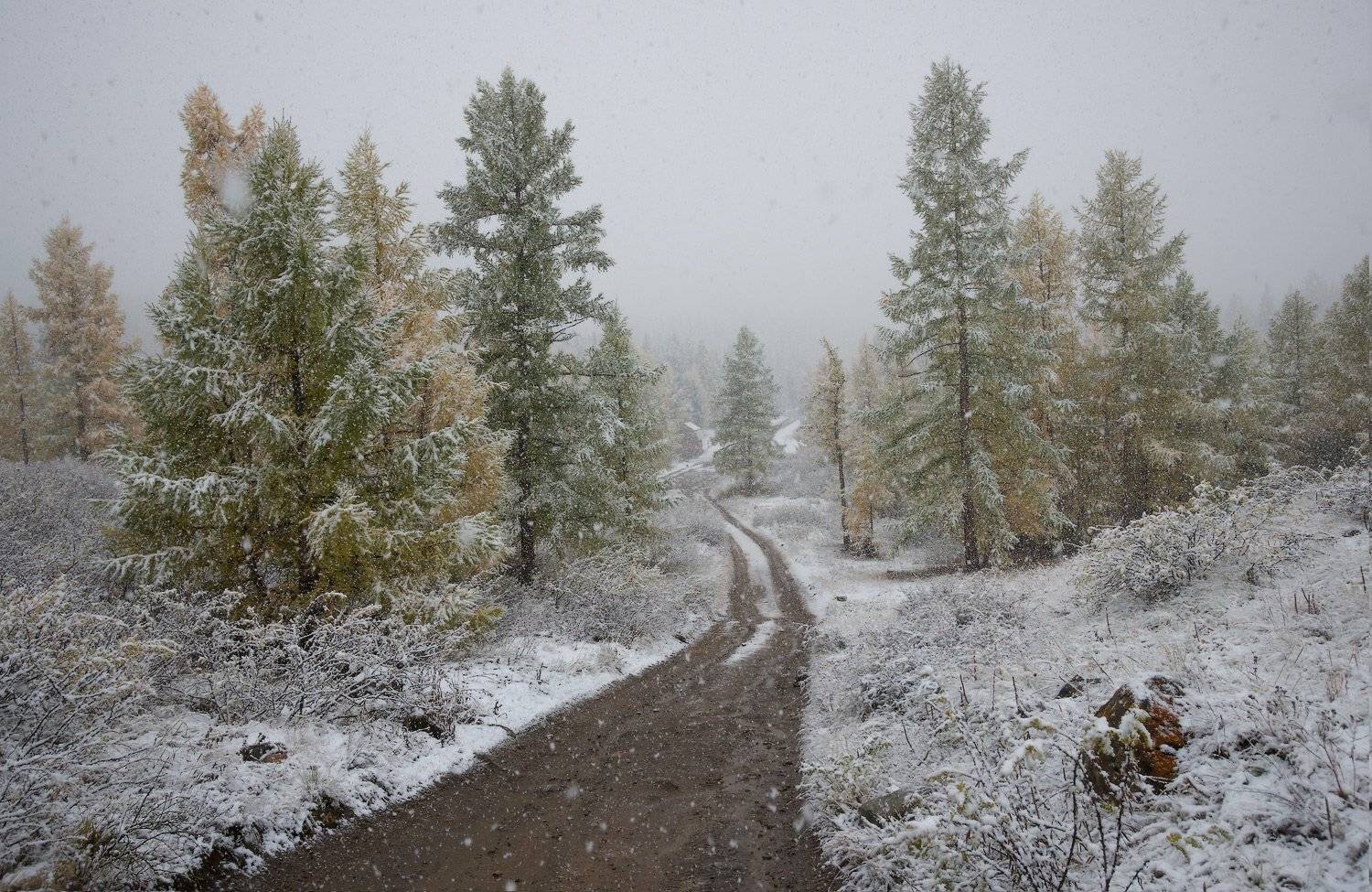 алтай, горы, Владимир Ляпин
