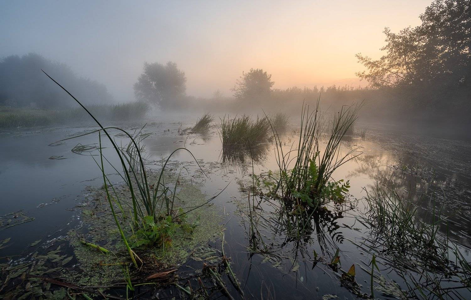 , Александр Бредихин