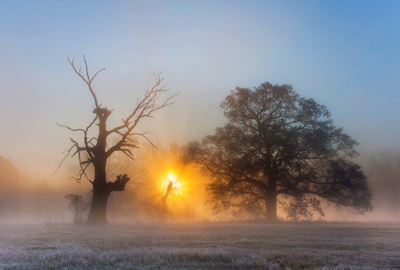 Latarnia фото превью