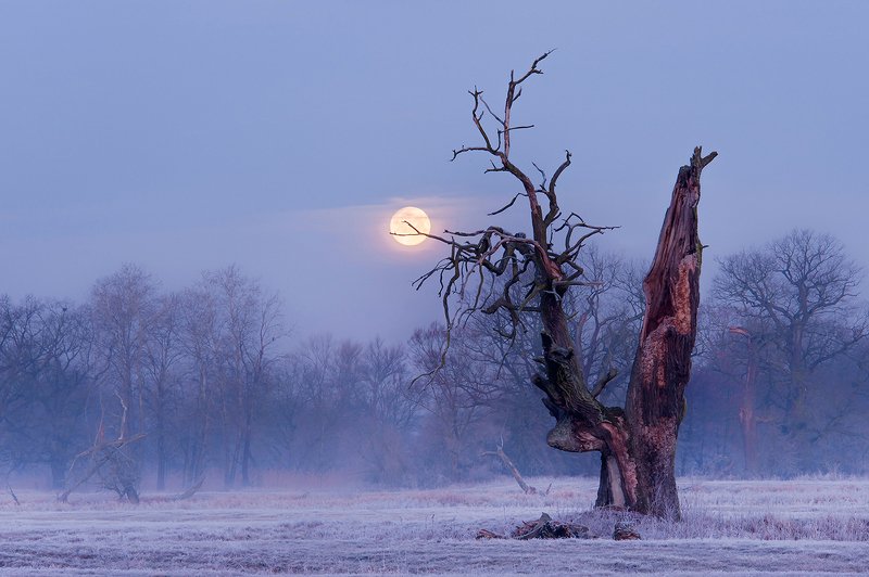 Spotkanie фото превью