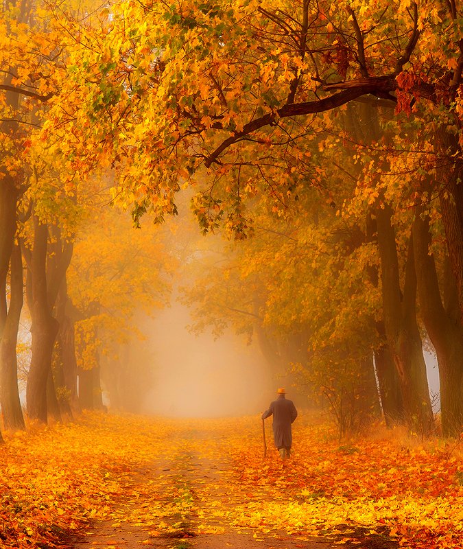 Jesień życia фото превью
