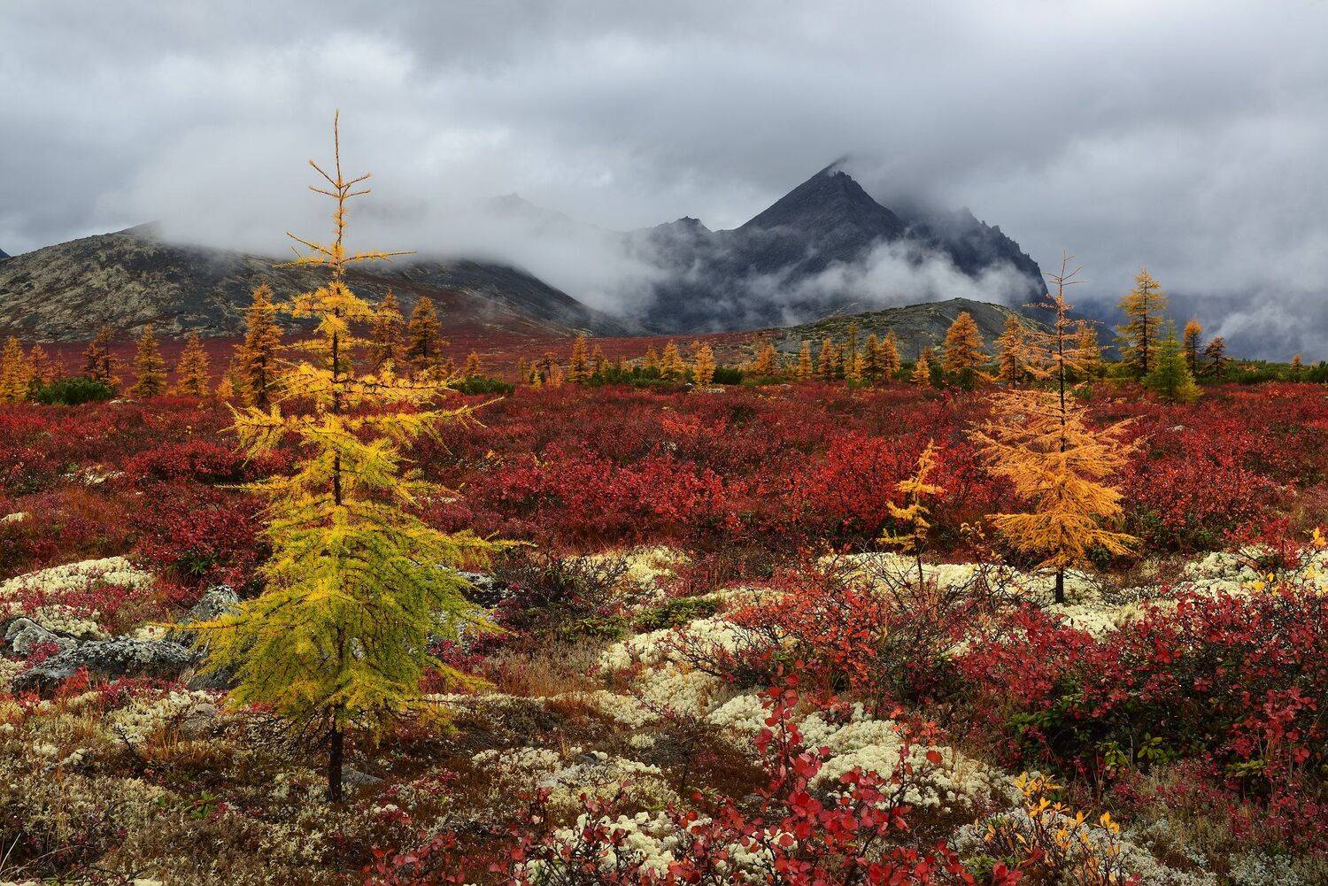 , Максим Евдокимов (phototourtravel.ru)
