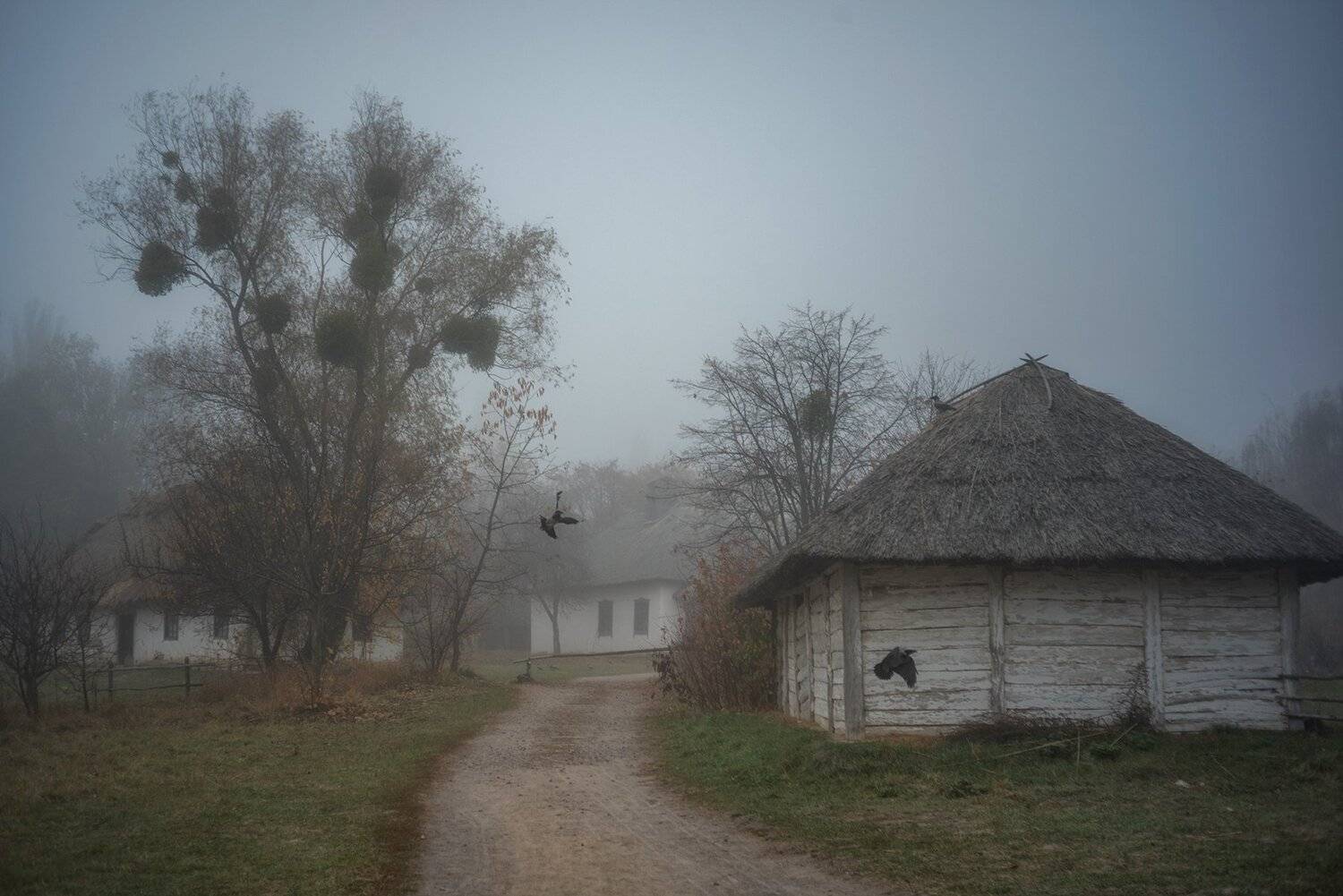 , Юрий Юрьев