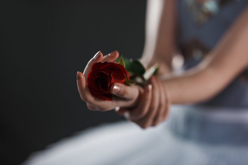 Балет роза руки грация Хрупкость фото превью