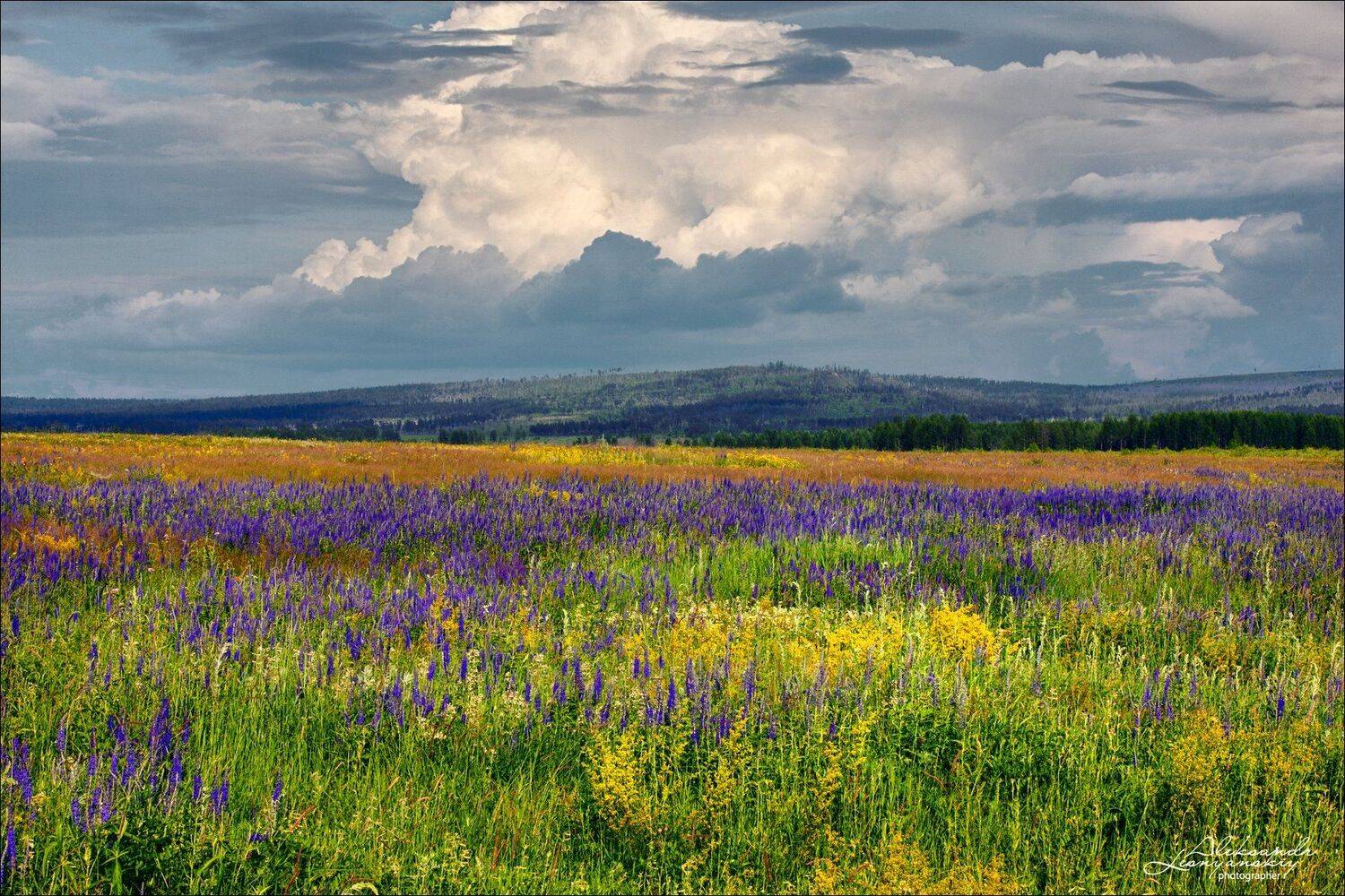 забайкальский край, Александр Леснянский