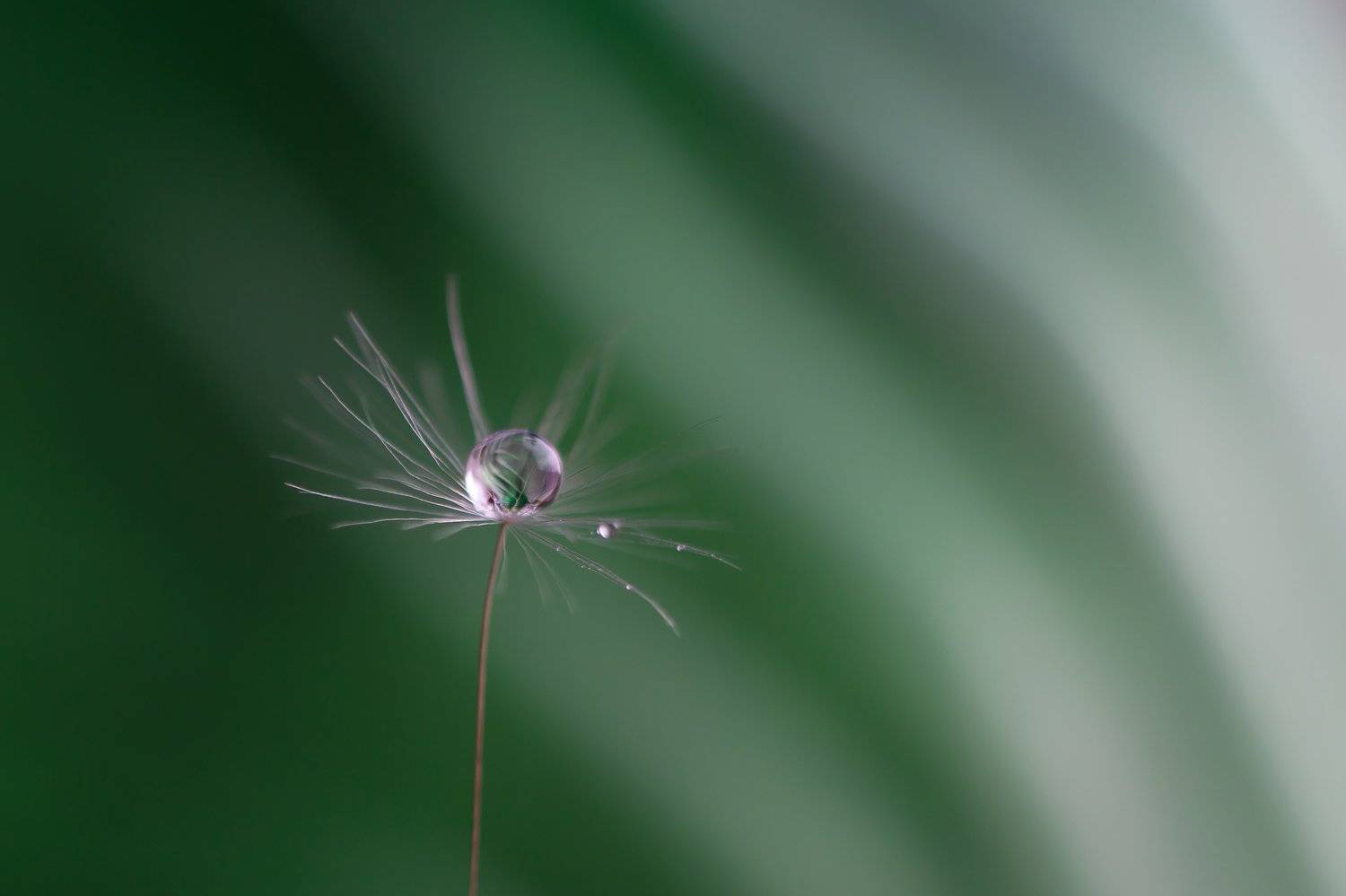 , Мария Александрова