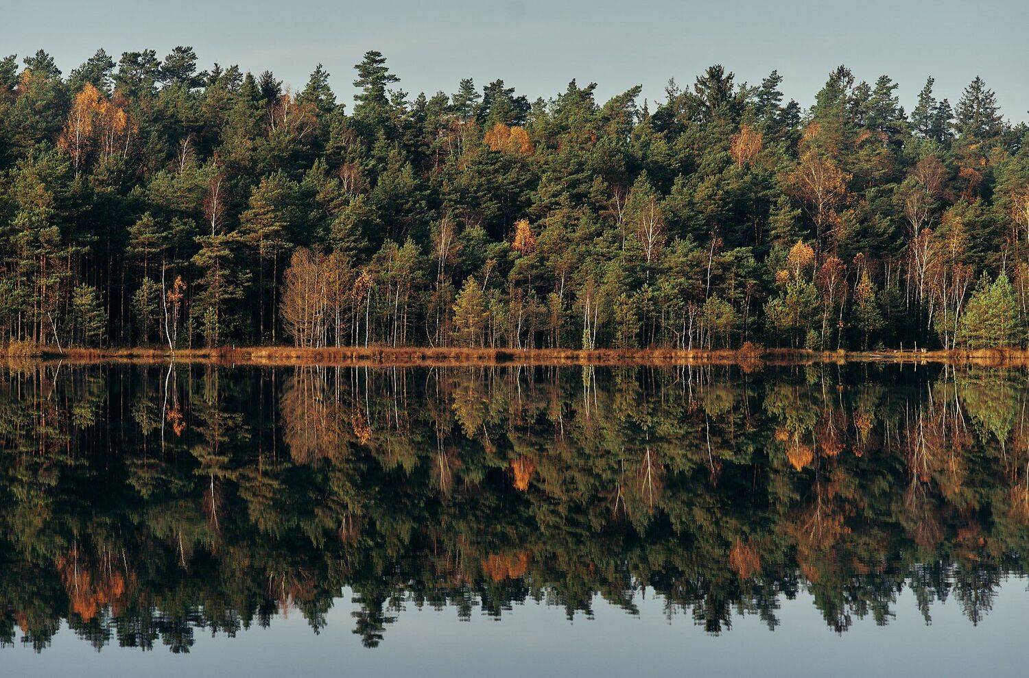 , Александр Фанковин