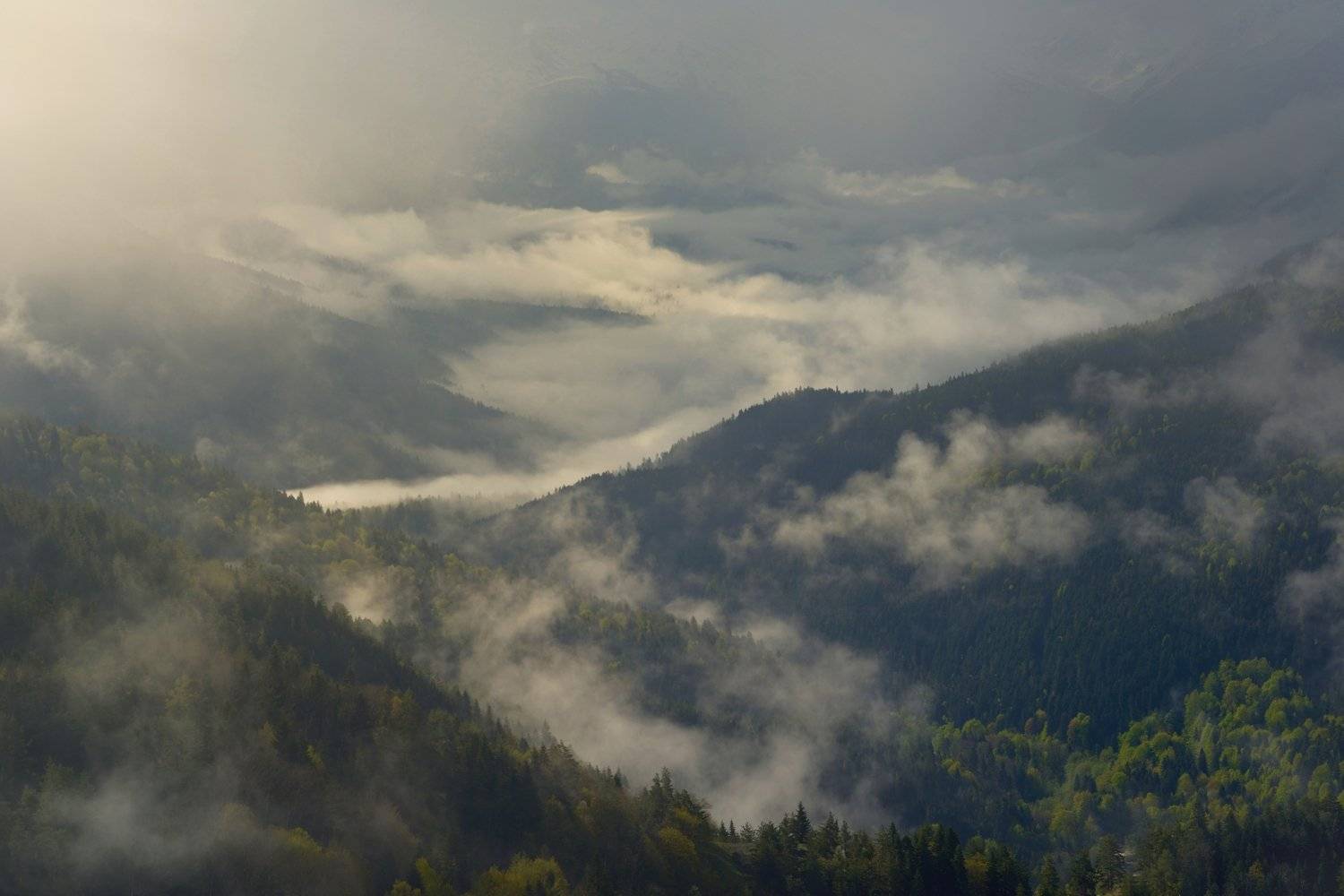 горы кавказ утро туман, Александр Жарников