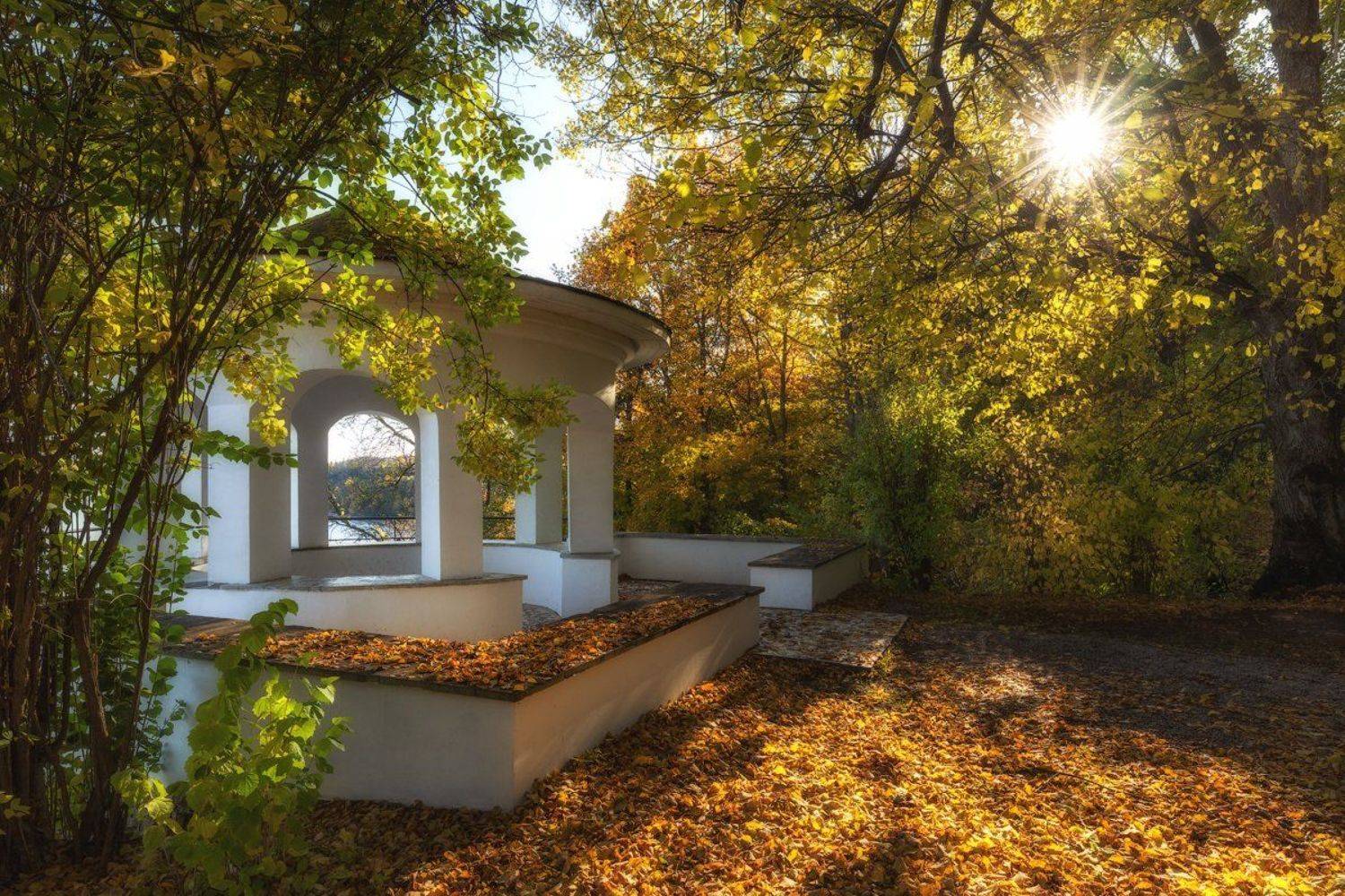 Парк, Тойла, Эстония., Юрий Чернов