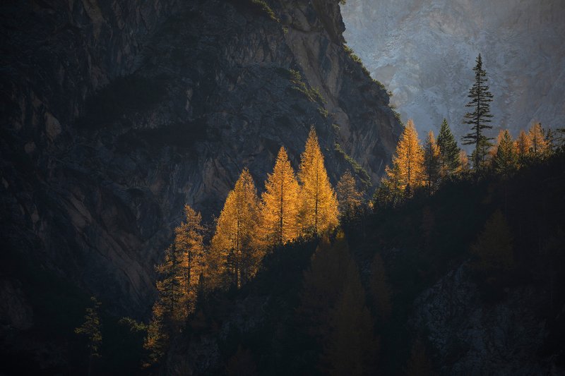 mountains, dolomites, italy, sunrise, landscape, nature, travel, autumn, trees, light Autumn Flames фото превью