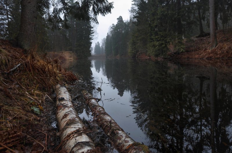 питер, павловскийпарк, павловский, пейзаж, рассвет Унылая пора . . . фото превью