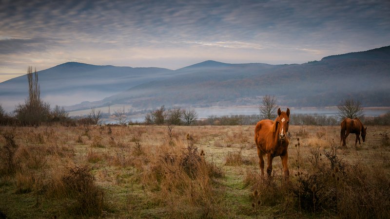 Утро Байдарской долины фото превью
