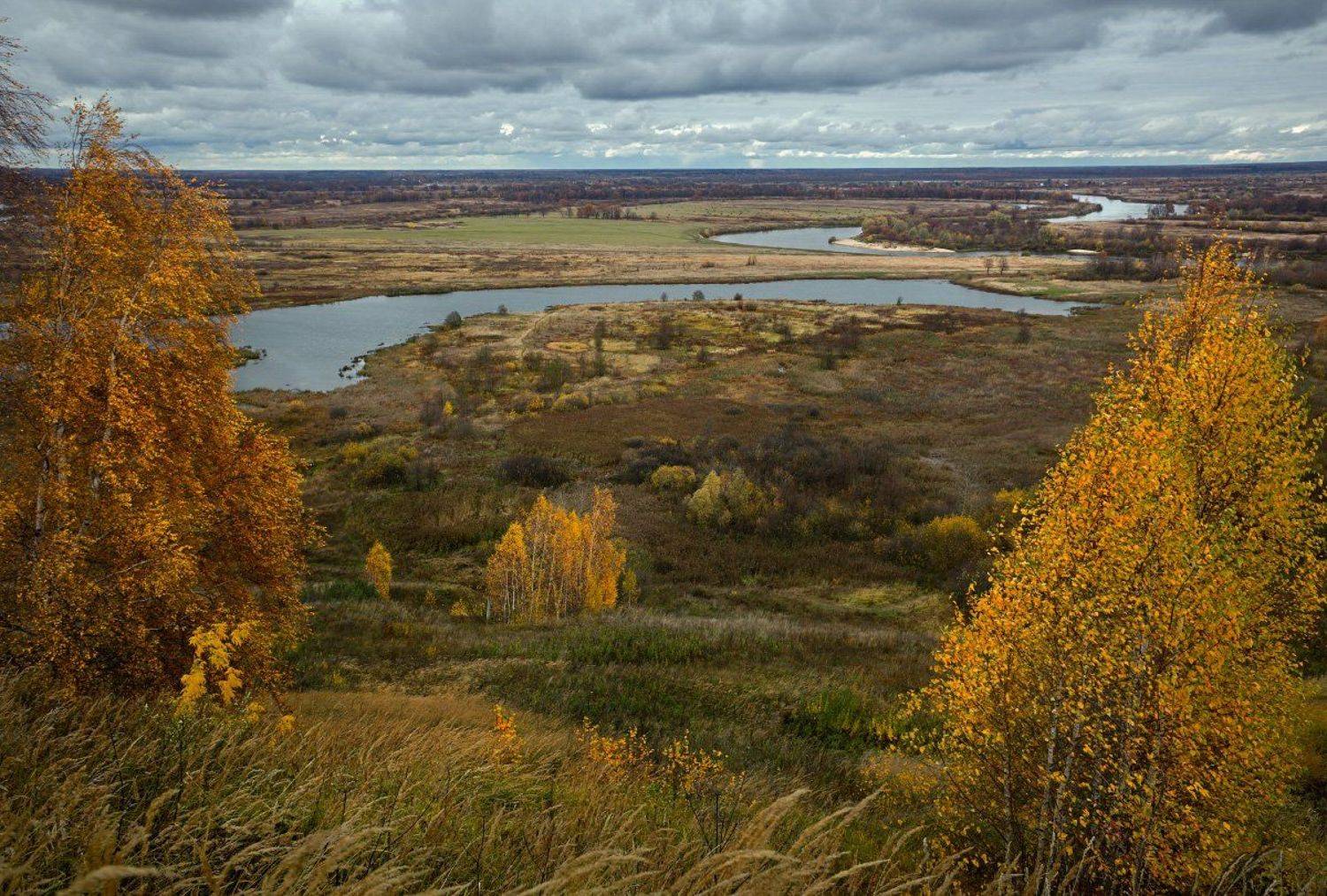 осень клязьма вязники текмаш, Дмитрий Алексеев