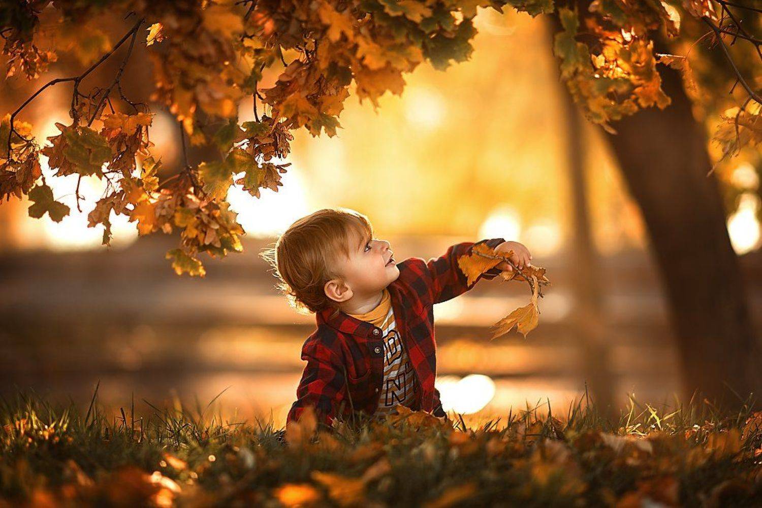 , Ирина Ганич