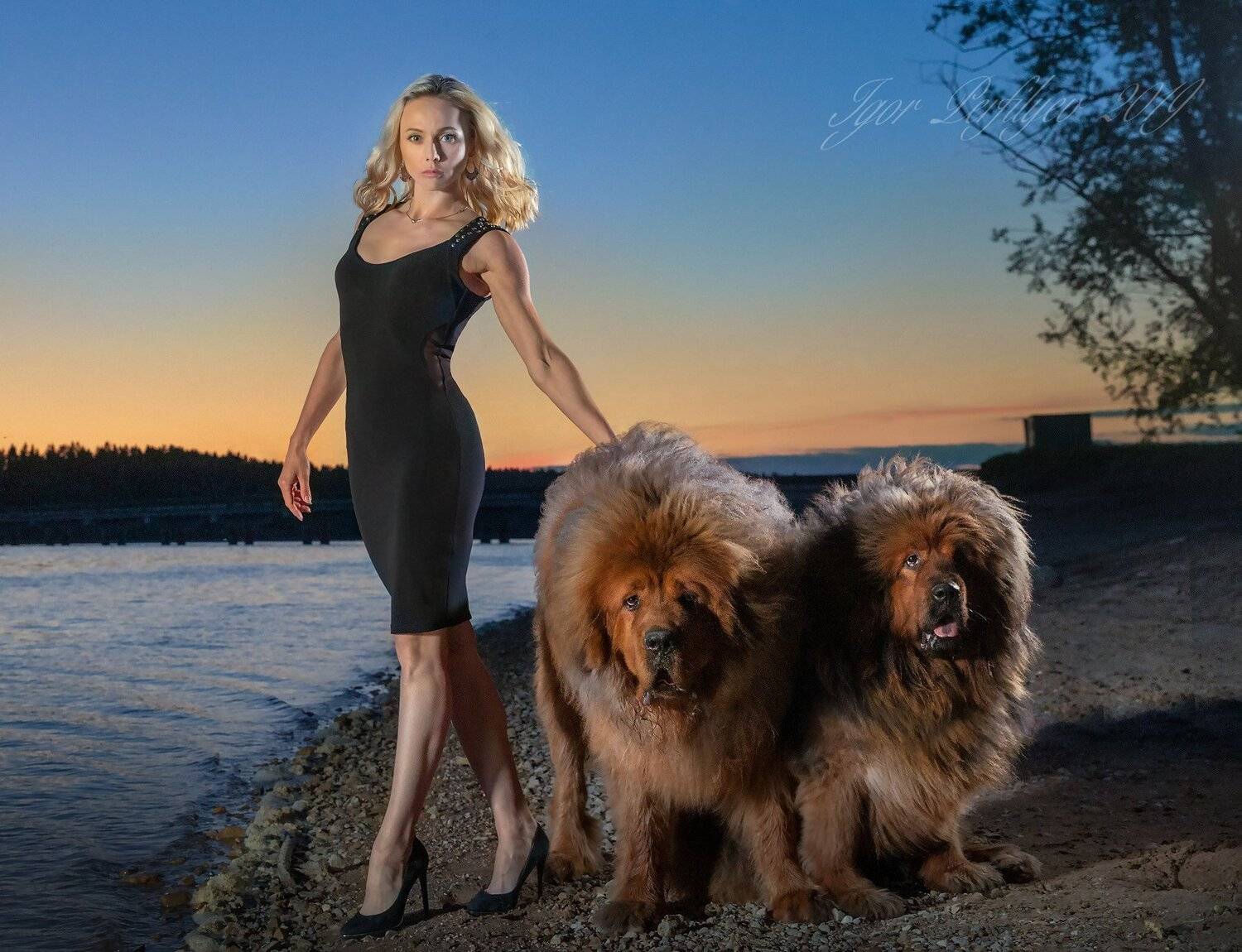 , игорь перфильев