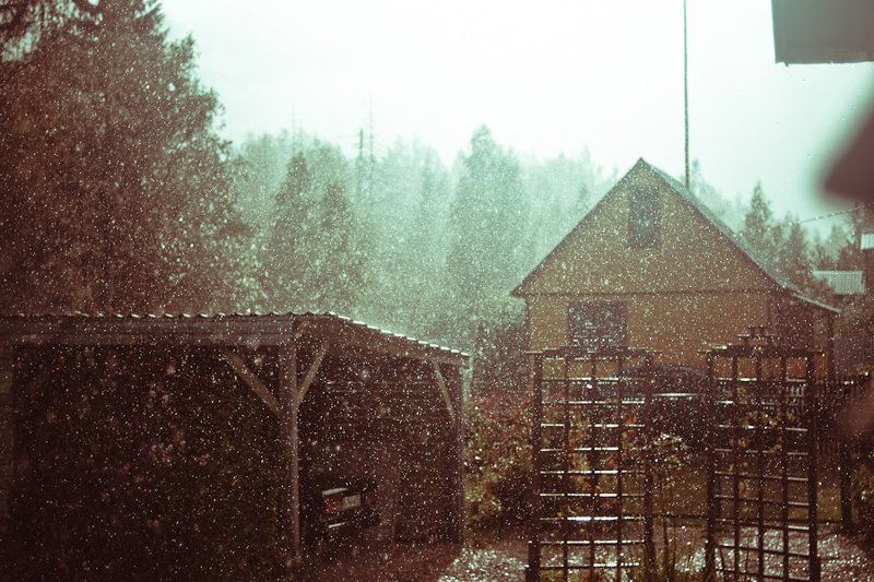 грибной дождь фото превью