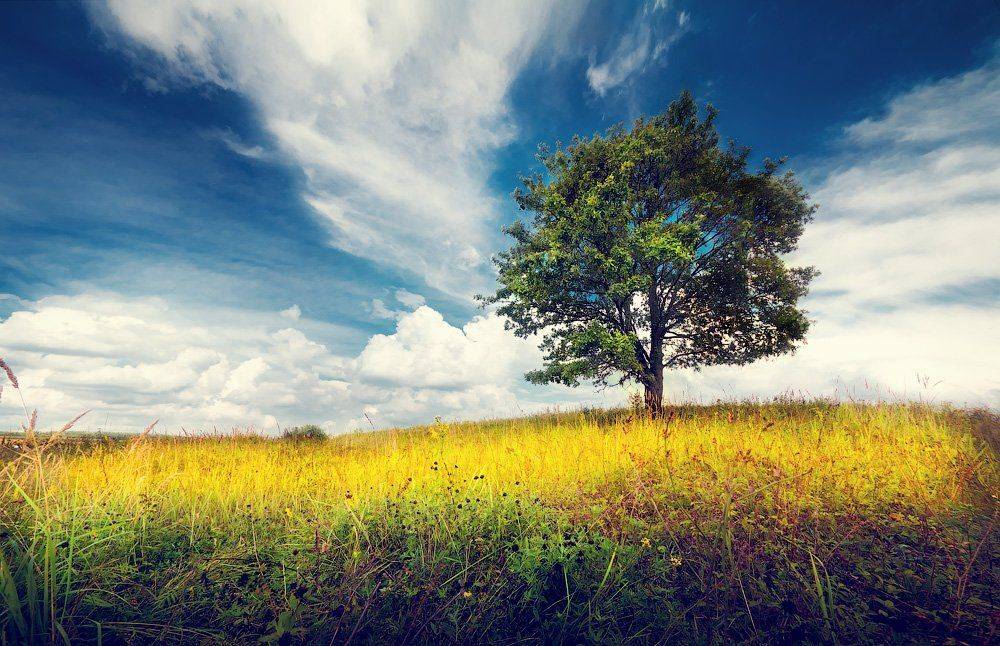 , Сергей Зимин